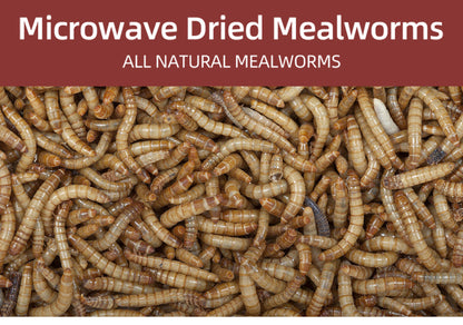 Janio Dried Mealworms High-Protein Meal Worm for Wild Bird,Chicken, 5lb